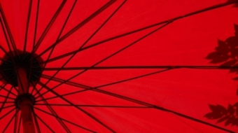 demo-attachment-1549-loic-furhoff-YERwza88a0o-unsplash@2x